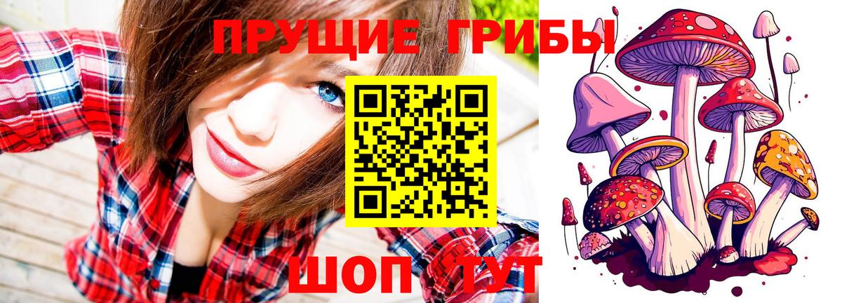 Псилоцибиновые грибы мухоморы Солнечногорск